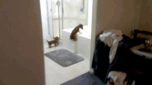 Egy forró fürdő több kalóriát éget, mint a futás