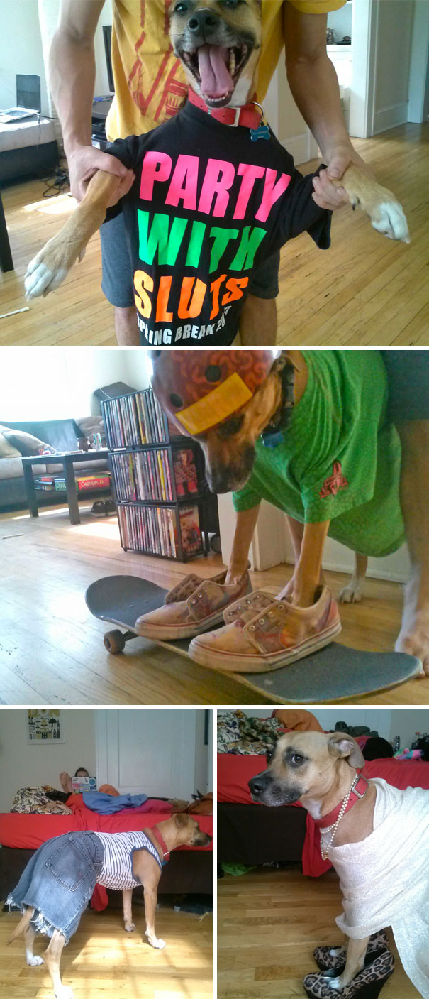 10 gazdi, aki már nagyon bánja, hogy másra bízta kedvencét 10 gazdi, aki már nagyon bánja, hogy másra bízta kedvencét