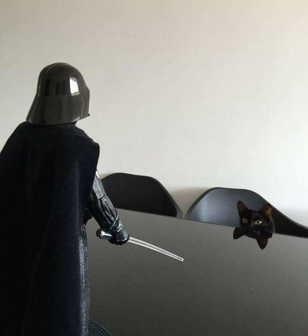 10 gazdi, aki már nagyon bánja, hogy másra bízta kedvencét 10 gazdi, aki már nagyon bánja, hogy másra bízta kedvencét