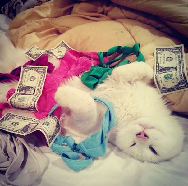 10 gazdi, aki már nagyon bánja, hogy másra bízta kedvencét 10 gazdi, aki már nagyon bánja, hogy másra bízta kedvencét