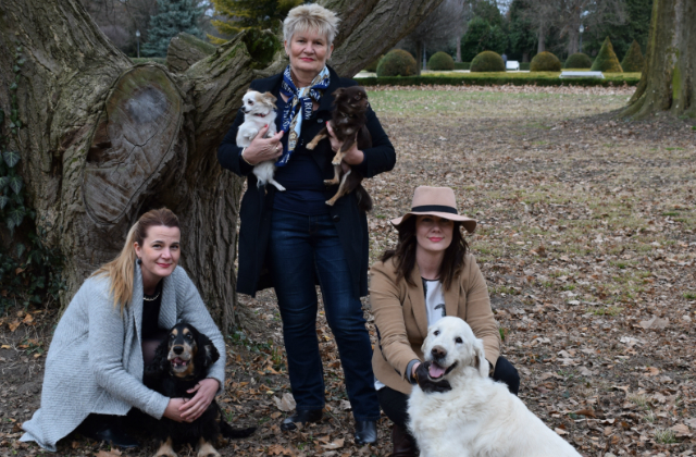 Last minute húsvét: ezt tedd, ha nem akarsz tojást festeni Last minute húsvét: ezt tedd, ha nem akarsz tojást festeni