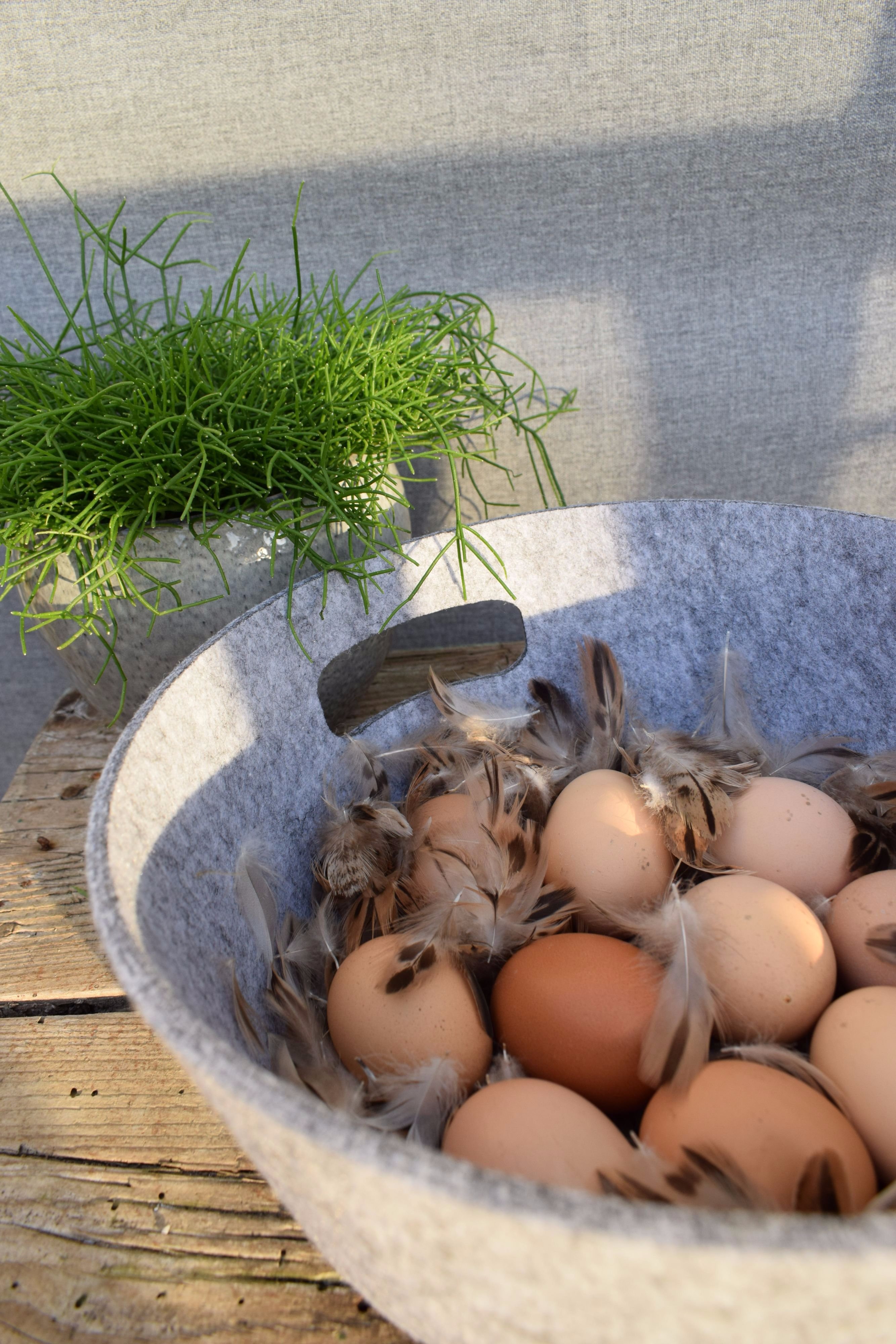 Fotó: Fekete Zsuzsu - Termosz Design