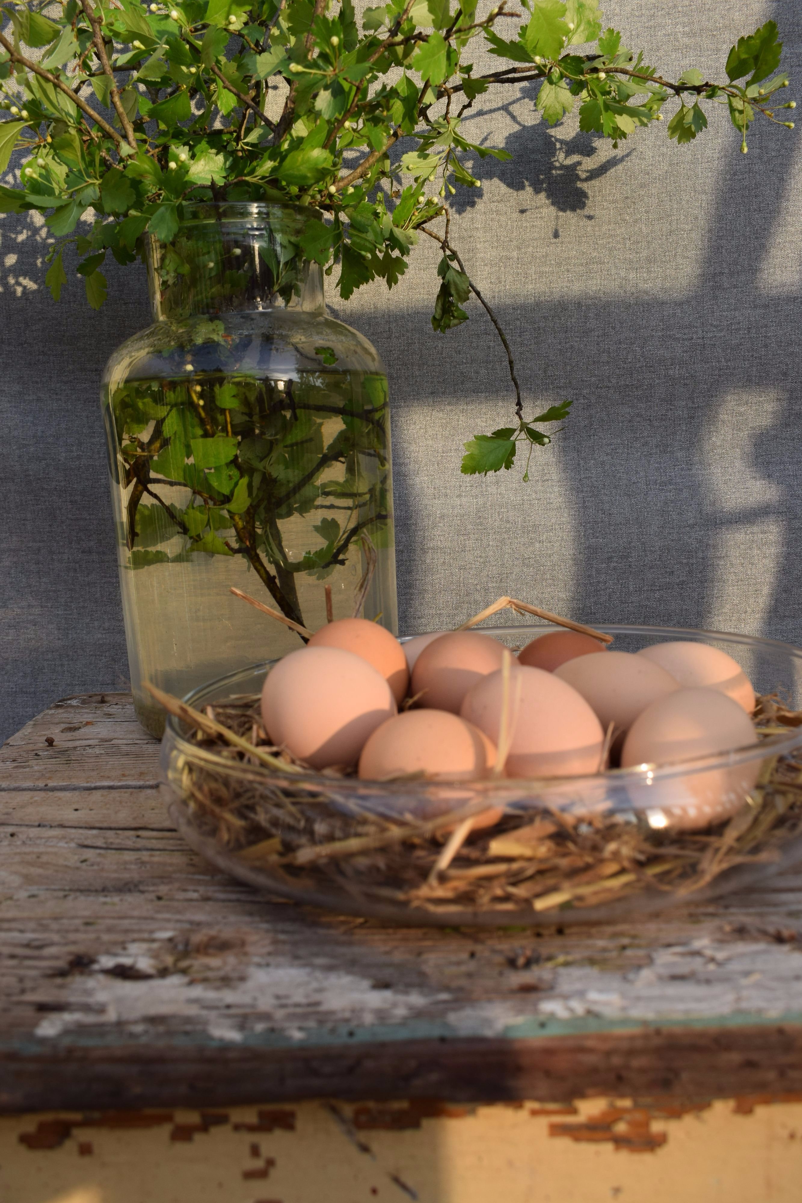 Fotó: Fekete Zsuzsu - Termosz Design