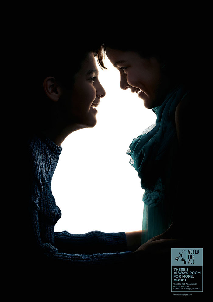 Zseniális optikai illúziókkal bátorítanak az állatok befogadására Zseniális optikai illúziókkal bátorítanak az állatok befogadására