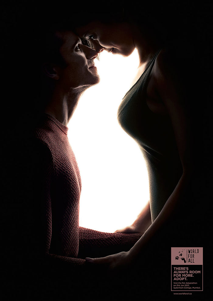 Zseniális optikai illúziókkal bátorítanak az állatok befogadására Zseniális optikai illúziókkal bátorítanak az állatok befogadására