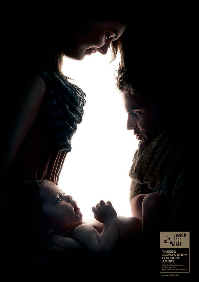 Zseniális optikai illúziókkal bátorítanak az állatok befogadására