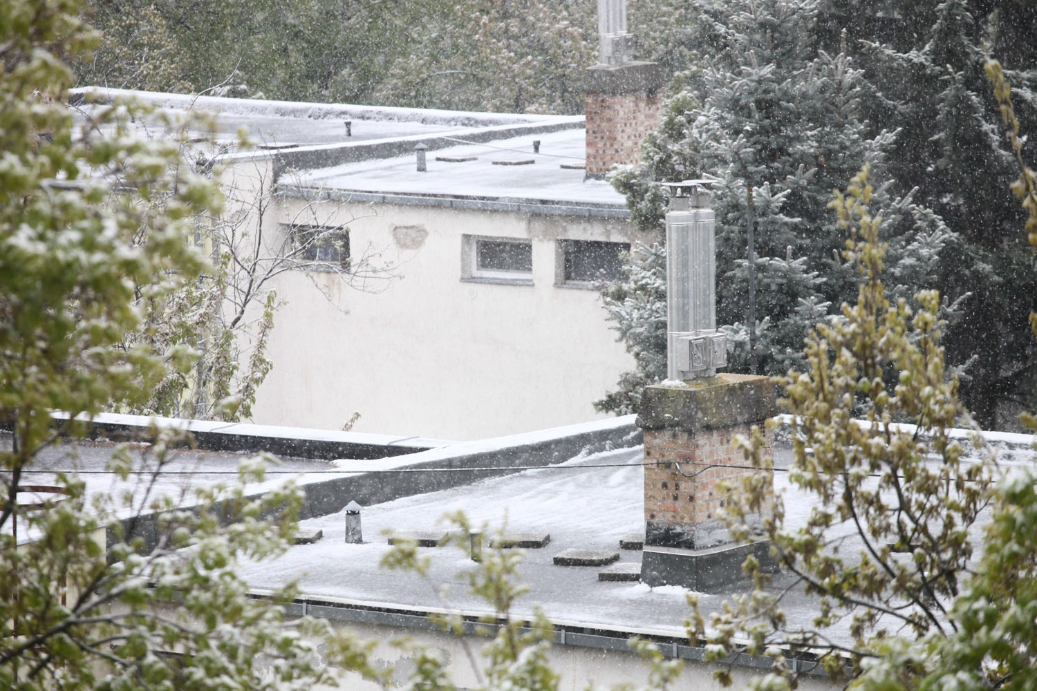 Nézd meg az áprilisi hóesést! – fotók Nézd meg az áprilisi hóesést! – fotók