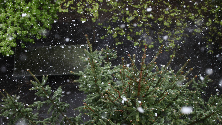 Áprilisban is ritkán látunk hóesést Áprilisban is ritkán látunk hóesést