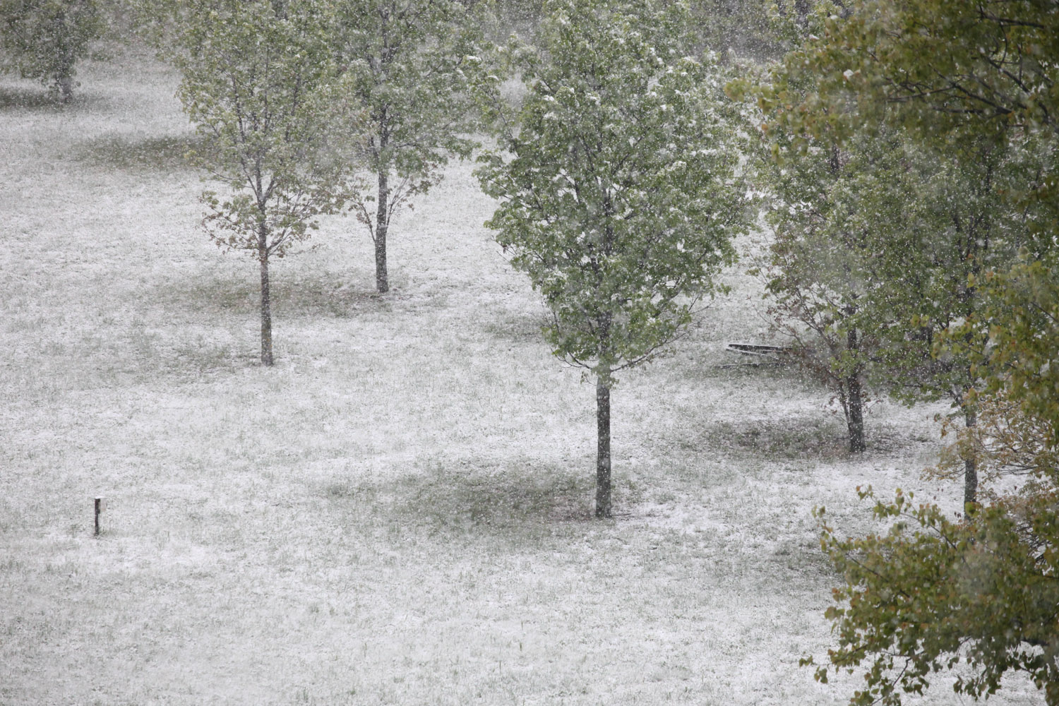 Nézd meg az áprilisi hóesést! - fotók Nézd meg az áprilisi hóesést! - fotók