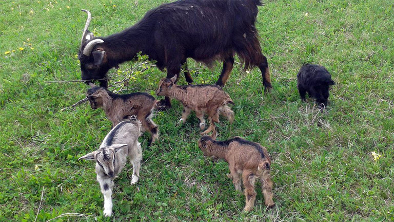 Fotó: Mózes Tamás