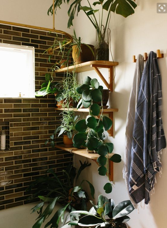 Növényekkel telipakolt fürdőszobáktól őrül meg a Pinterest