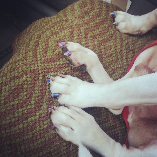 Ezért ne bízd gyerekekre a házikedvenceket