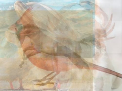 Milyen állatot látsz meg először a képen? Sokat elárul rólad!