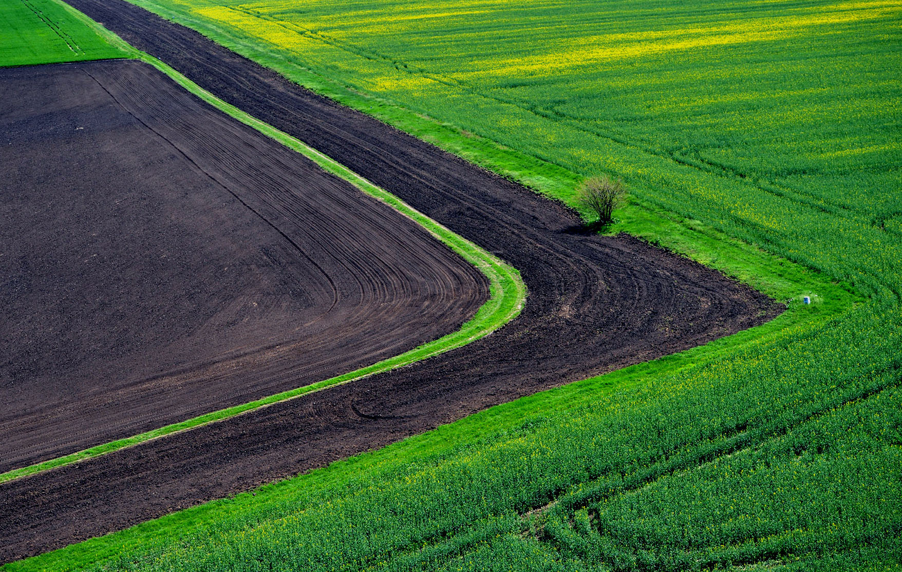 Az egek ura: Magyarország a magasból H. Szabó Sándor légifotós szemével