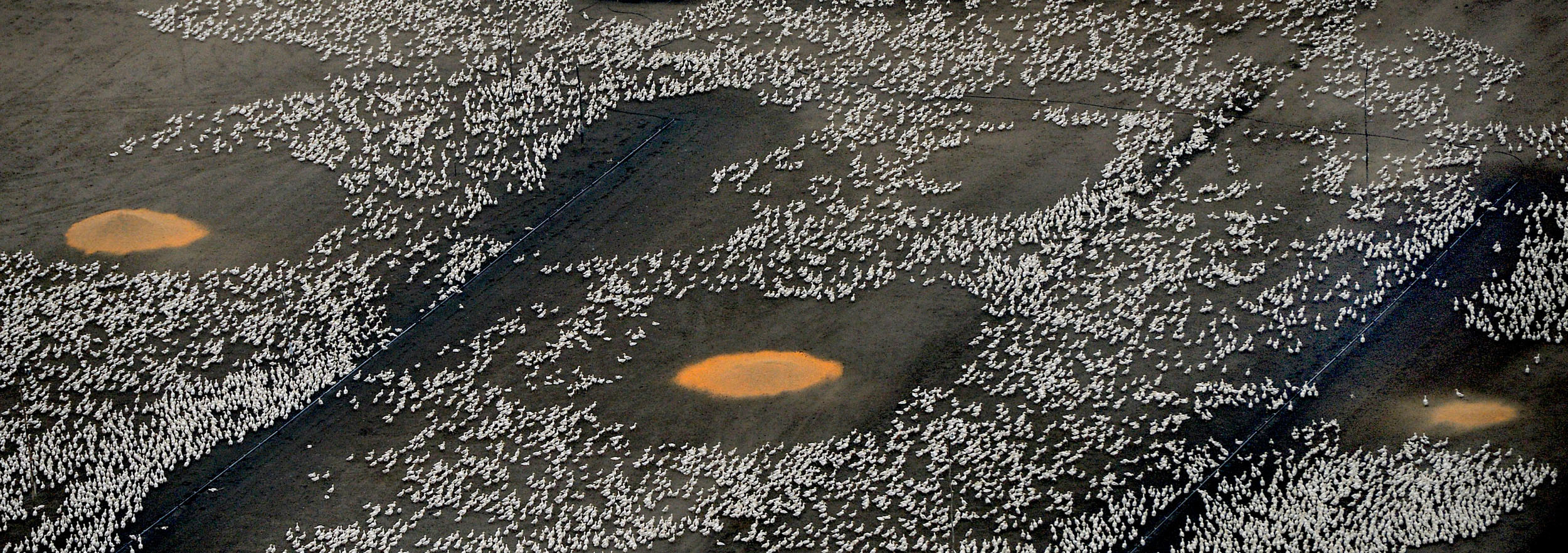 Az egek ura: Magyarország a magasból H. Szabó Sándor légifotós szemével