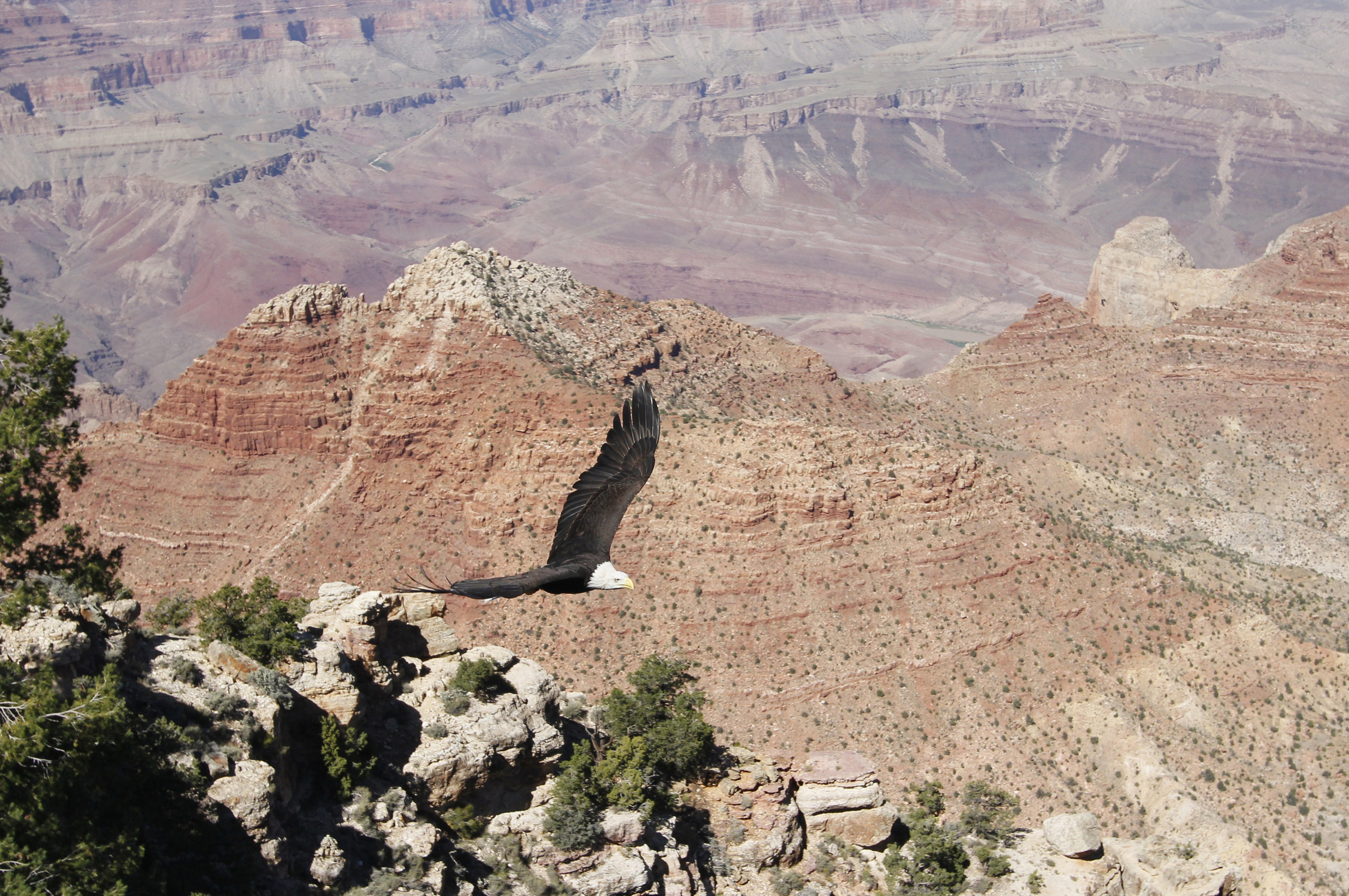 A Föld napja: 13 Photoshop nélküli kép a bolygonkról, amit nem óvunk eléggé