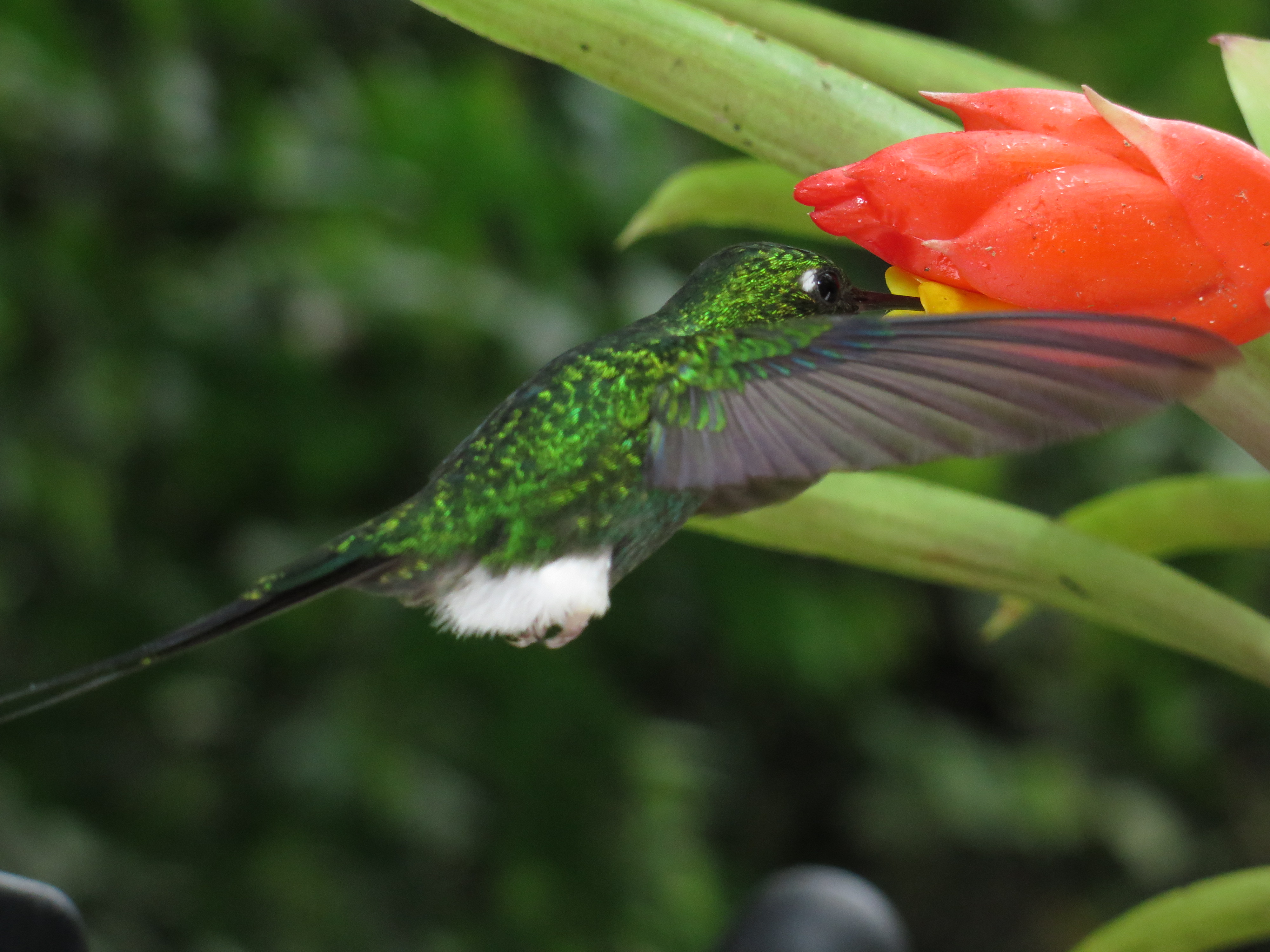 A Föld napja: 13 Photoshop nélküli kép a bolygonkról, amit nem óvunk eléggé