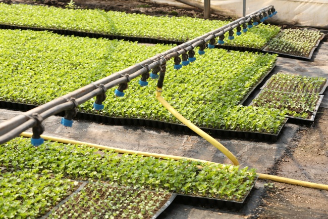 8 megoldás a kertbe, ami valóra váltja a kertészek álmait 8 megoldás a kertbe, ami valóra váltja a kertészek álmait