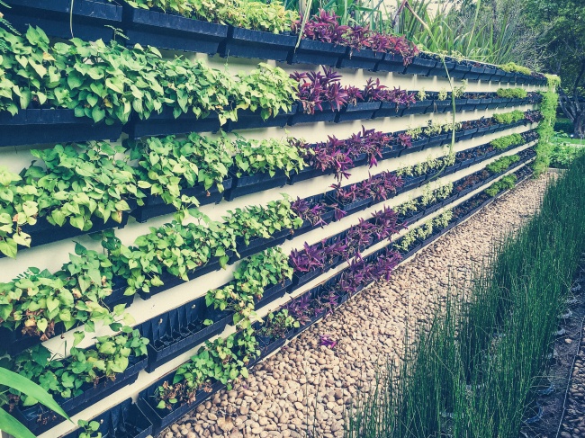 8 megoldás a kertbe, ami valóra váltja a kertészek álmait 8 megoldás a kertbe, ami valóra váltja a kertészek álmait