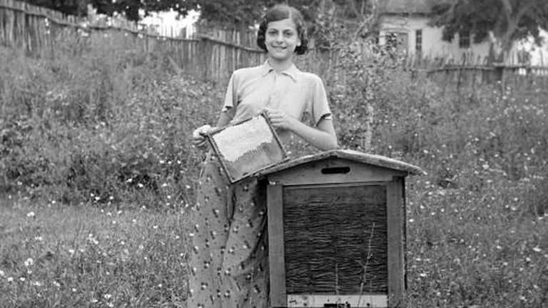 Szorgalmasan mézet készít, gyermekünknek jövőt épít Szorgalmasan mézet készít, gyermekünknek jövőt épít