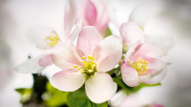 Az éjszaka erejének megtapasztalása