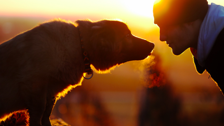 Itt a nagy kutya-horoszkóp! - 1. rész