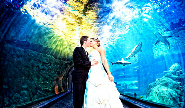 Extrém esküvők: túl a képzeleten