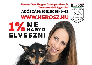 További fotókért kattints a képgalériára!