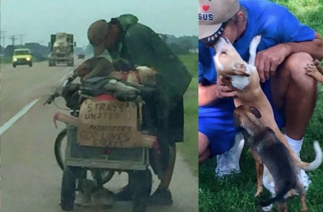 Csodálatos adományok – Sorsfordító, mesébe illő jótettek