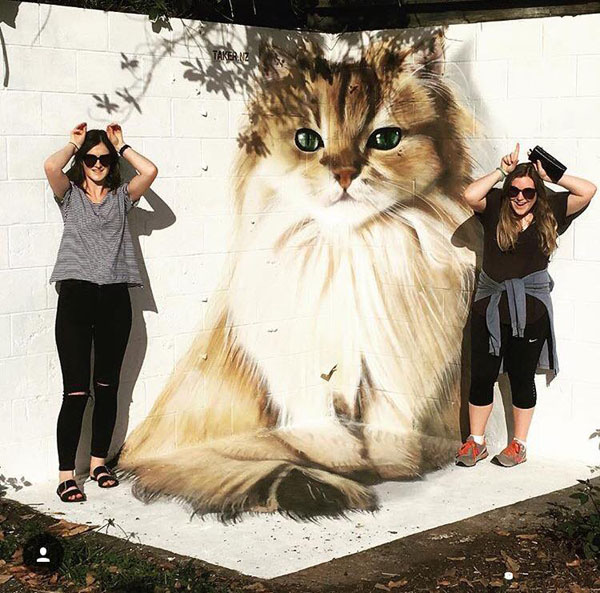 Fotó: Smoothie the Cat Facebook