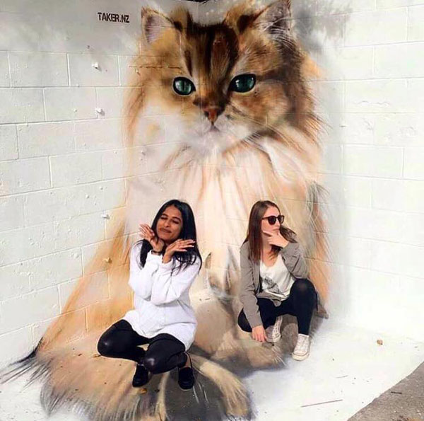 Fotó: Smoothie the Cat Facebook