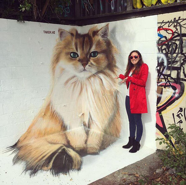 Fotó: Smoothie the Cat Facebook