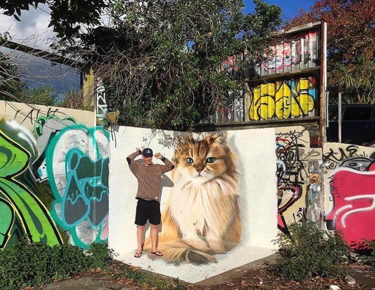 Fotó: Smoothie the Cat Facebook