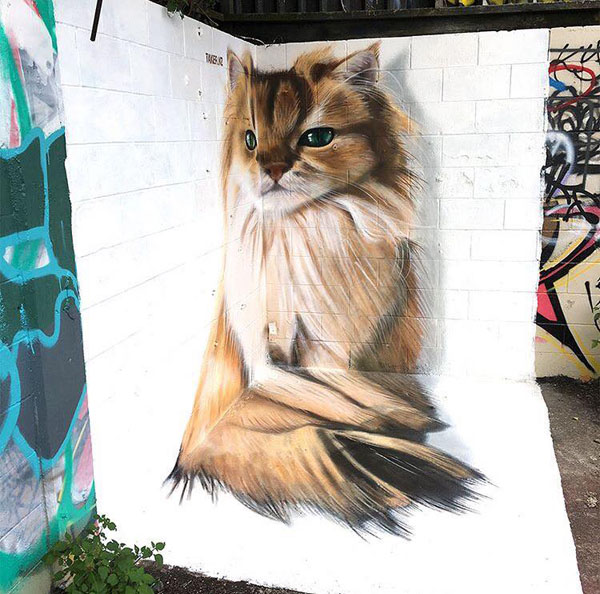 Fotó: Smoothie the Cat Facebook