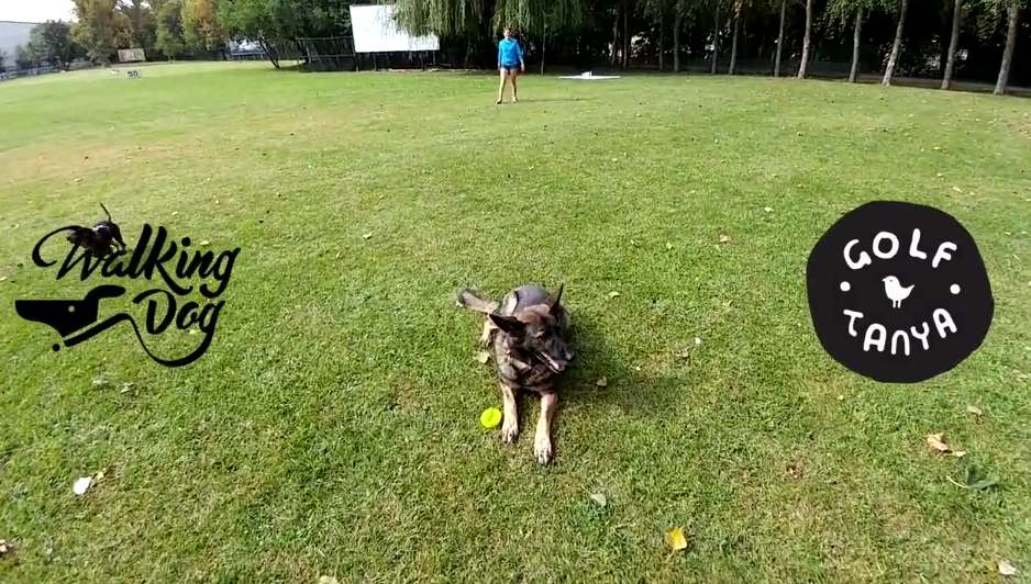 Május elsején is kutyáznál? Mit szólsz egy kutyás piknikhez? 