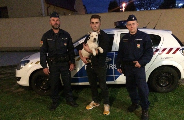 Megtalálták a 4 hónapos Tequilát a devecseri rendőrök