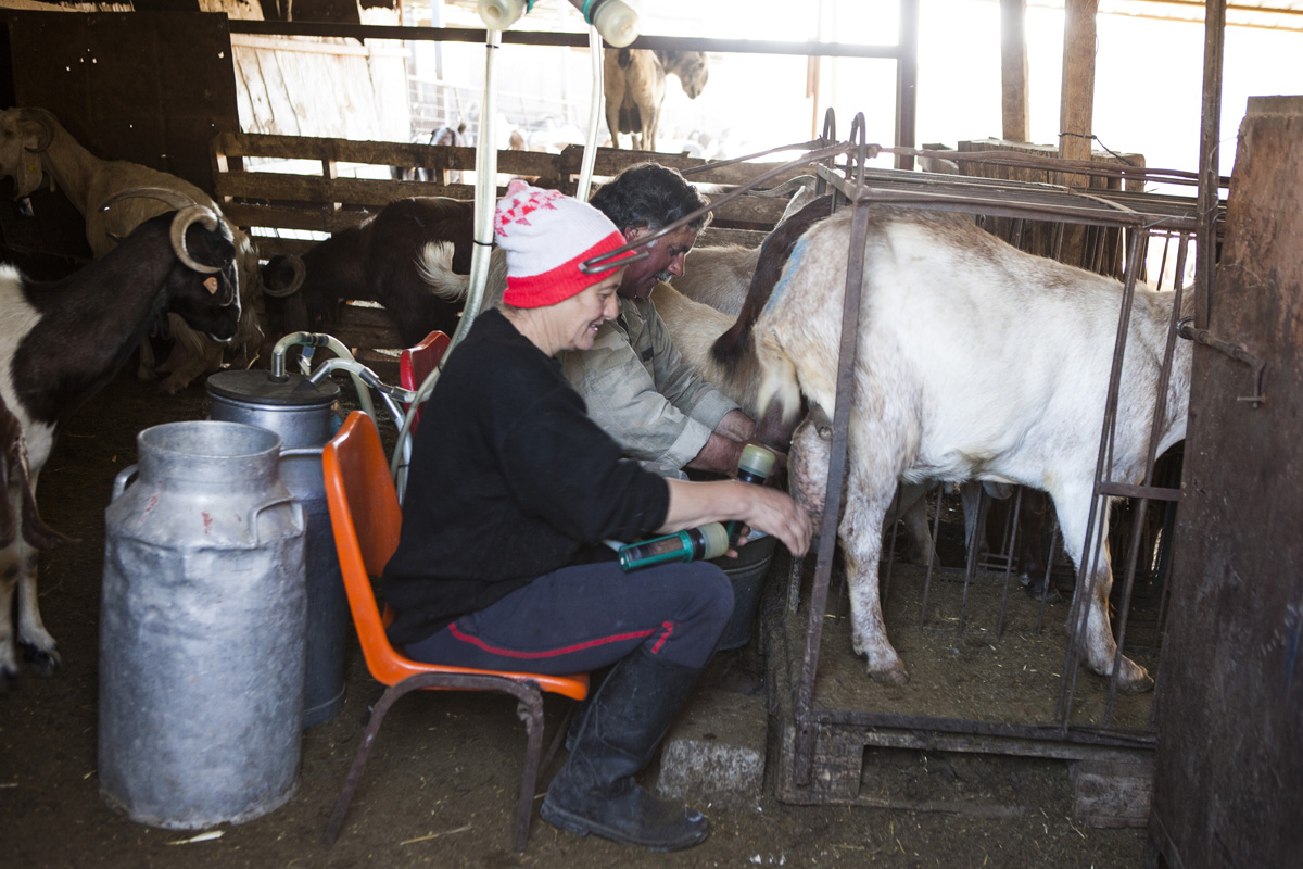 Ciprus: egy sziget, ahol nem kerülheted el a szerelmet Ciprus: egy sziget, ahol nem kerülheted el a szerelmet