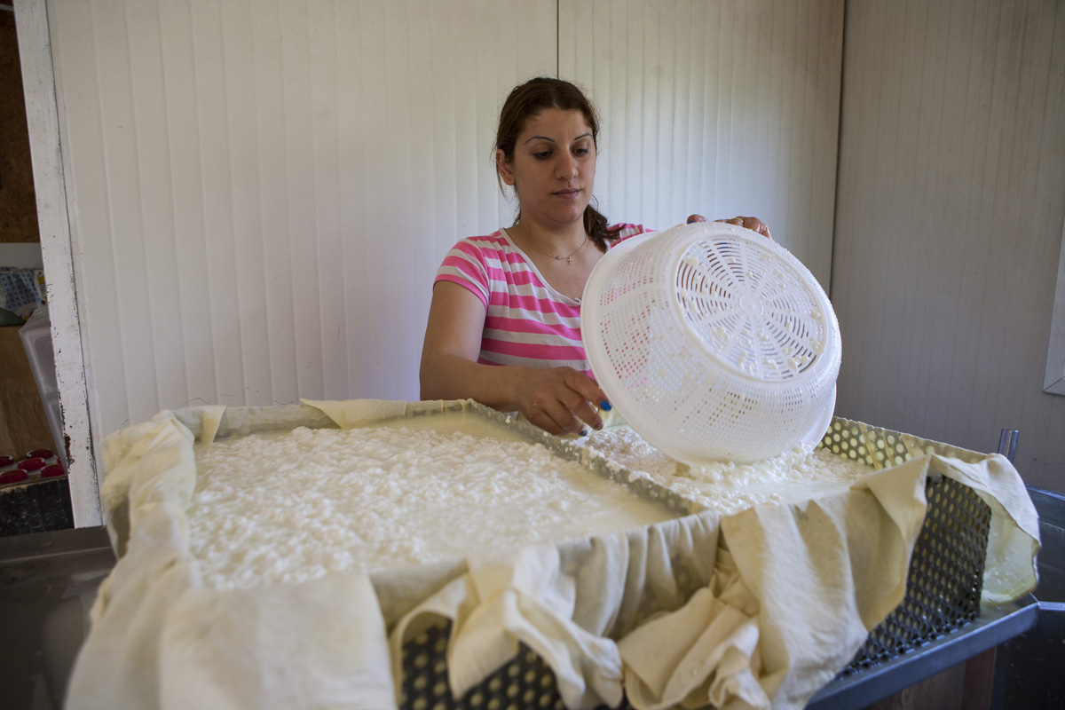 Ciprus: egy sziget, ahol nem kerülheted el a szerelmet Ciprus: egy sziget, ahol nem kerülheted el a szerelmet