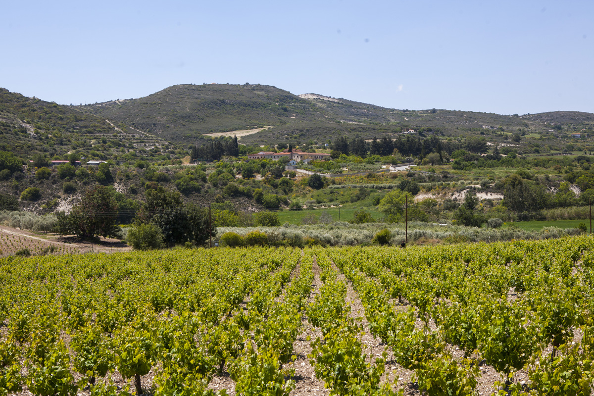 Ciprus: egy sziget, ahol nem kerülheted el a szerelmet Ciprus: egy sziget, ahol nem kerülheted el a szerelmet
