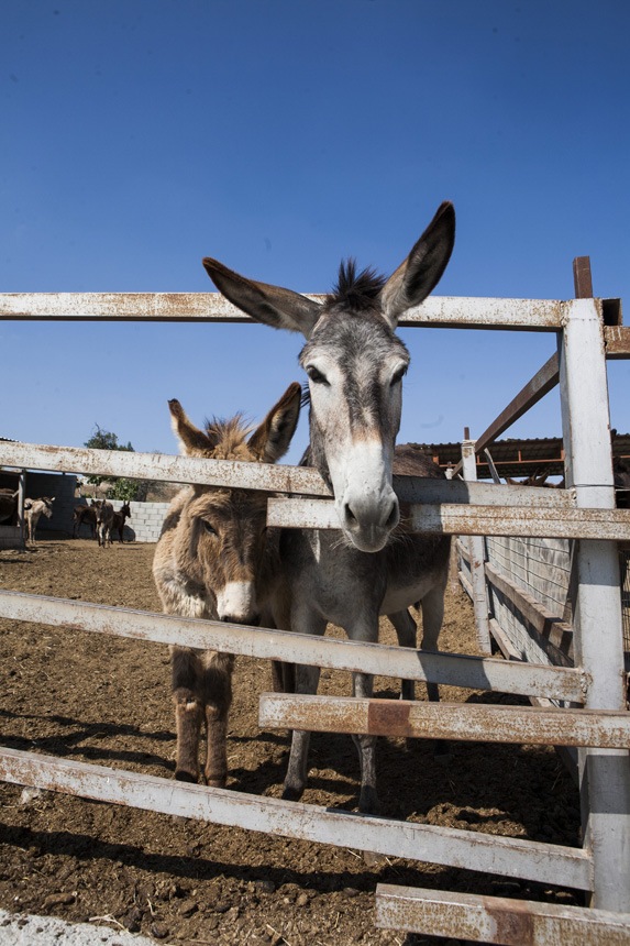 Ciprus: egy sziget, ahol nem kerülheted el a szerelmet Ciprus: egy sziget, ahol nem kerülheted el a szerelmet