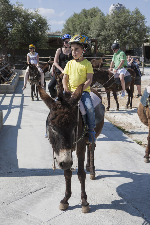Ciprus: egy sziget, ahol nem kerülheted el a szerelmet Ciprus: egy sziget, ahol nem kerülheted el a szerelmet