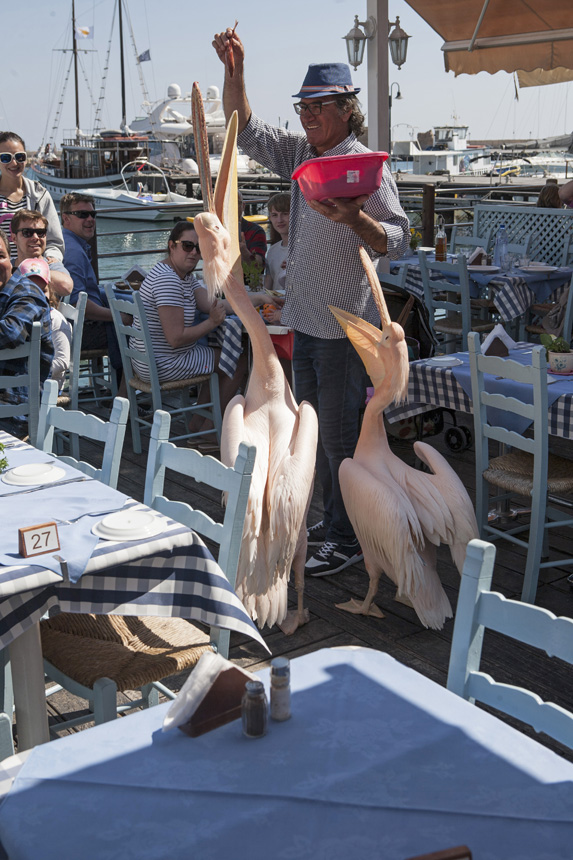 Ciprus: egy sziget, ahol nem kerülheted el a szerelmet Ciprus: egy sziget, ahol nem kerülheted el a szerelmet