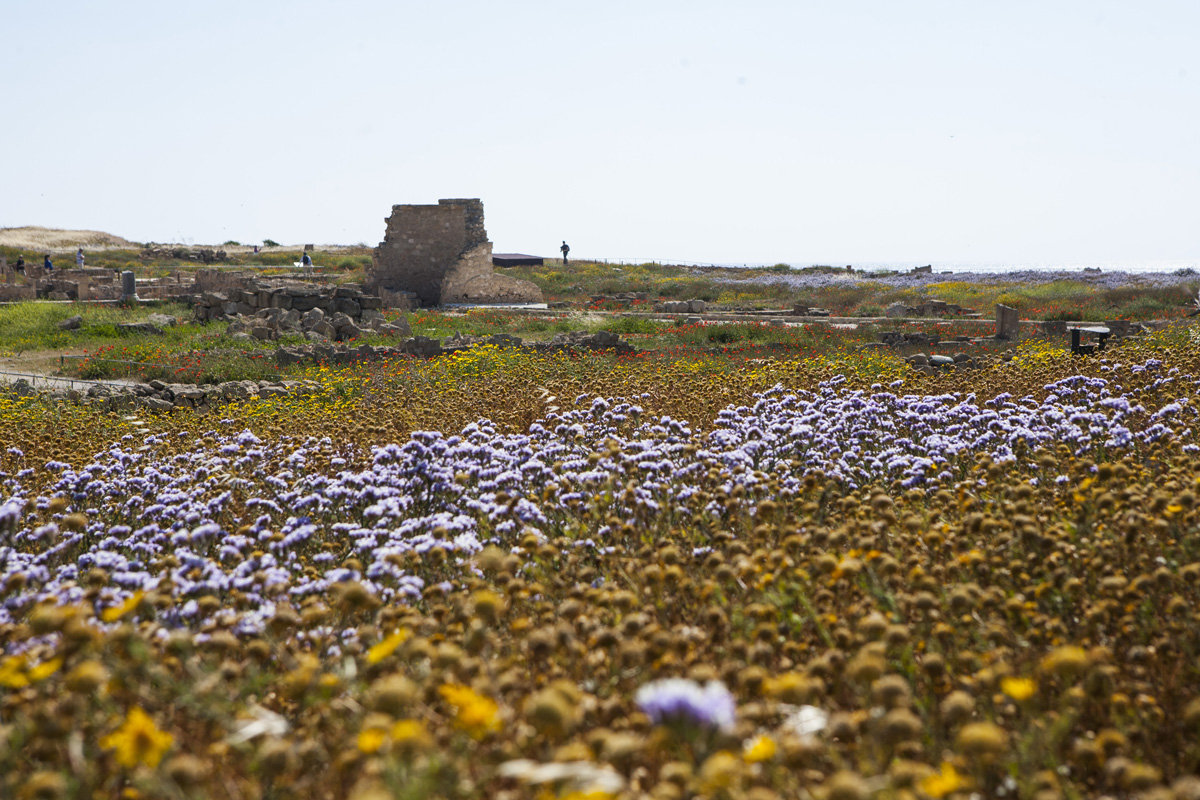 Ciprus: egy sziget, ahol nem kerülheted el a szerelmet Ciprus: egy sziget, ahol nem kerülheted el a szerelmet