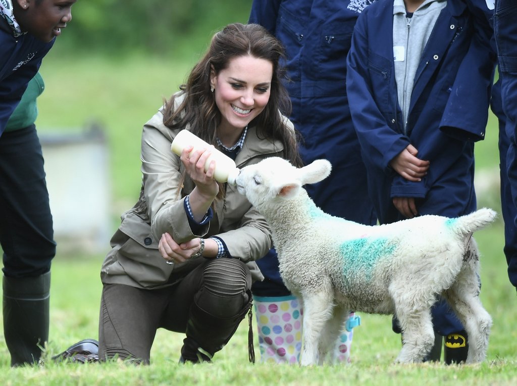 Ennek a cuki báránynak mindegy, hogy maga Katalin hercegné eteti meg Ennek a cuki báránynak mindegy, hogy maga Katalin hercegné eteti meg