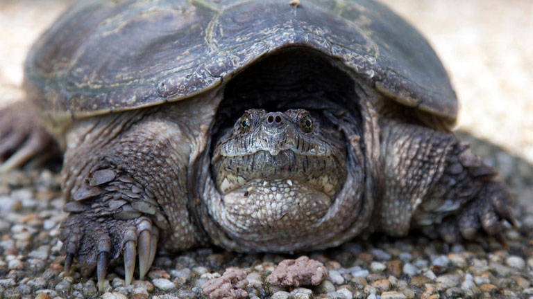 Képünk illusztráció