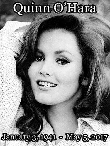 Népszerű sorozatokban játszott Quinn O'Hara