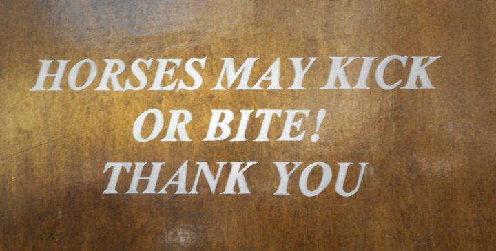 A lovak rúghatnak vagy haraphatnak, de mindezt rendkívül udvariasan teszik.