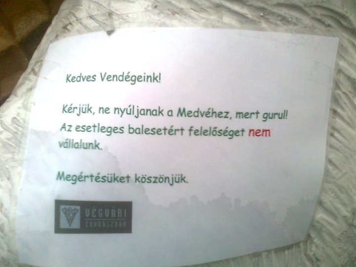 A Medve (!) nagybetűvel sem játék!