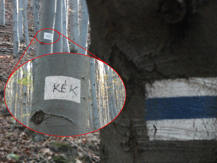 Minimalista turistajelzés