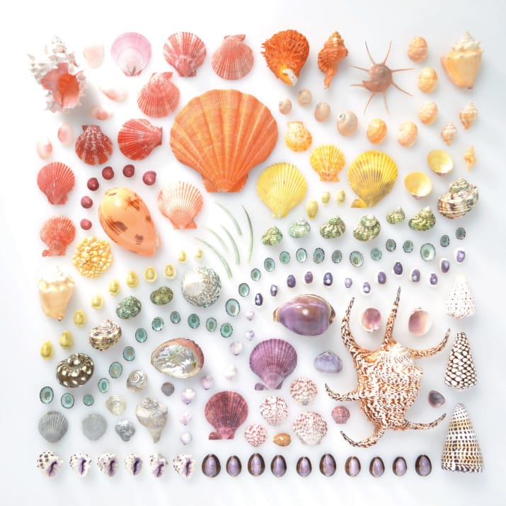 10 kép, ami bebizonyítja, hogy a színek szerinti csoportosítás csodálatos